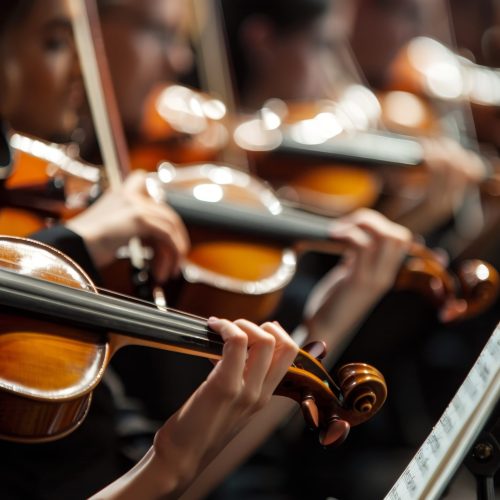 Un Concert à Rousson